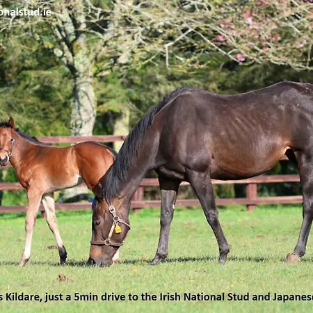 Πανσιόν The Stables - Adults Only 3*