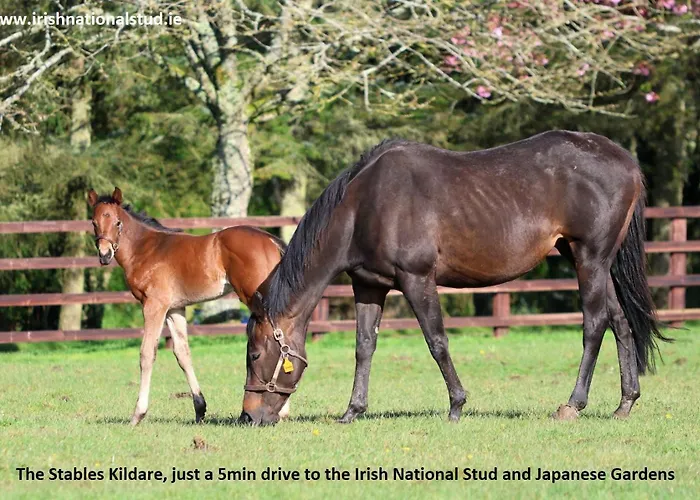 Gæstehus The Stables - Adults Only 3*